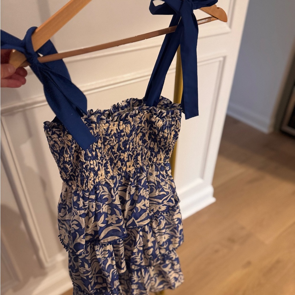 TCEC Blue and Cream Floral Mini Dress